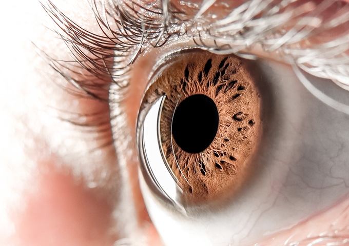 Como funciona o olho humano ?